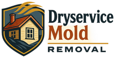 Dryservice Mold Removal